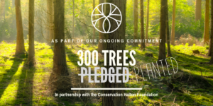 Rootree’s 2019 Tree Planting Accomplishment