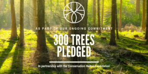 Rootree’s 2019 Tree Planting Initiative