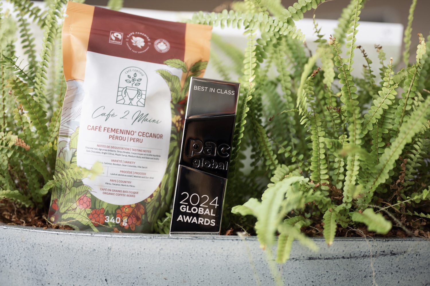 PACAward2024-Award_With_Pouch_And_Plant