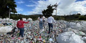 Rootree x rePurpose: Pouches for Plastic