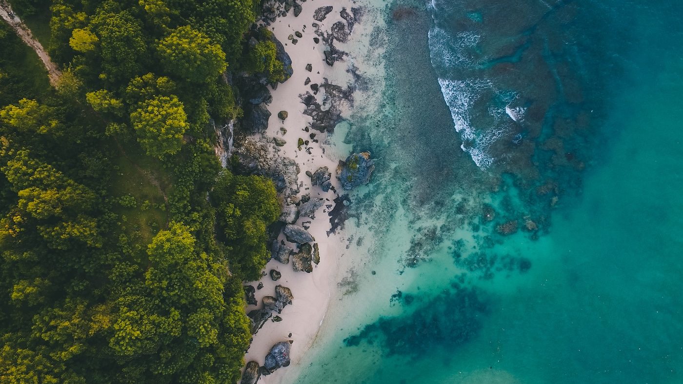 repurpose_global-sustainability-cover Tree Planting